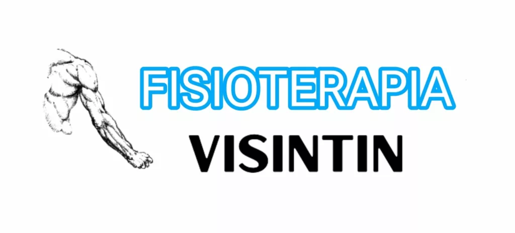 Questo è il logo del sito Fisioterapia Visintin!