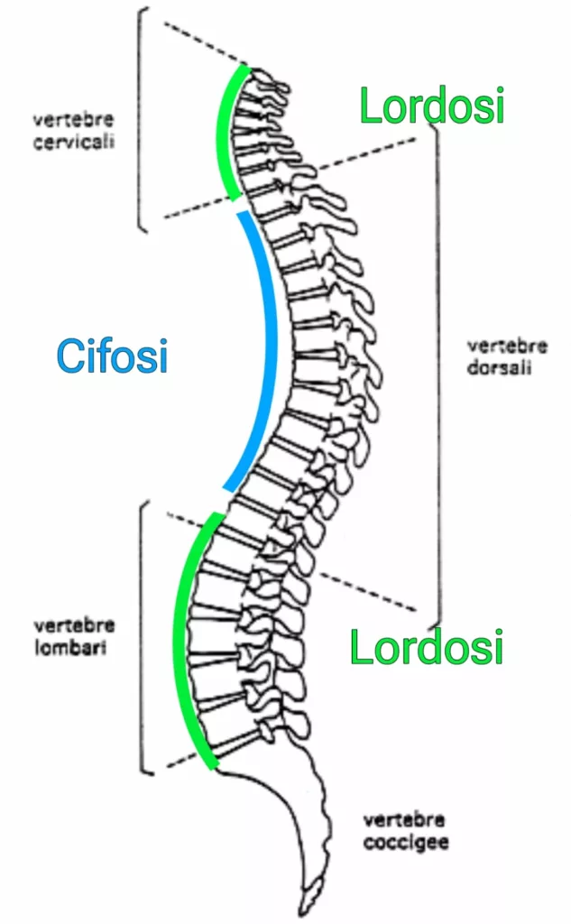 Inversione della fisiologica lordosi