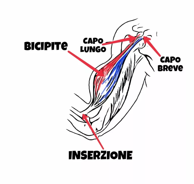 CLB Spalla