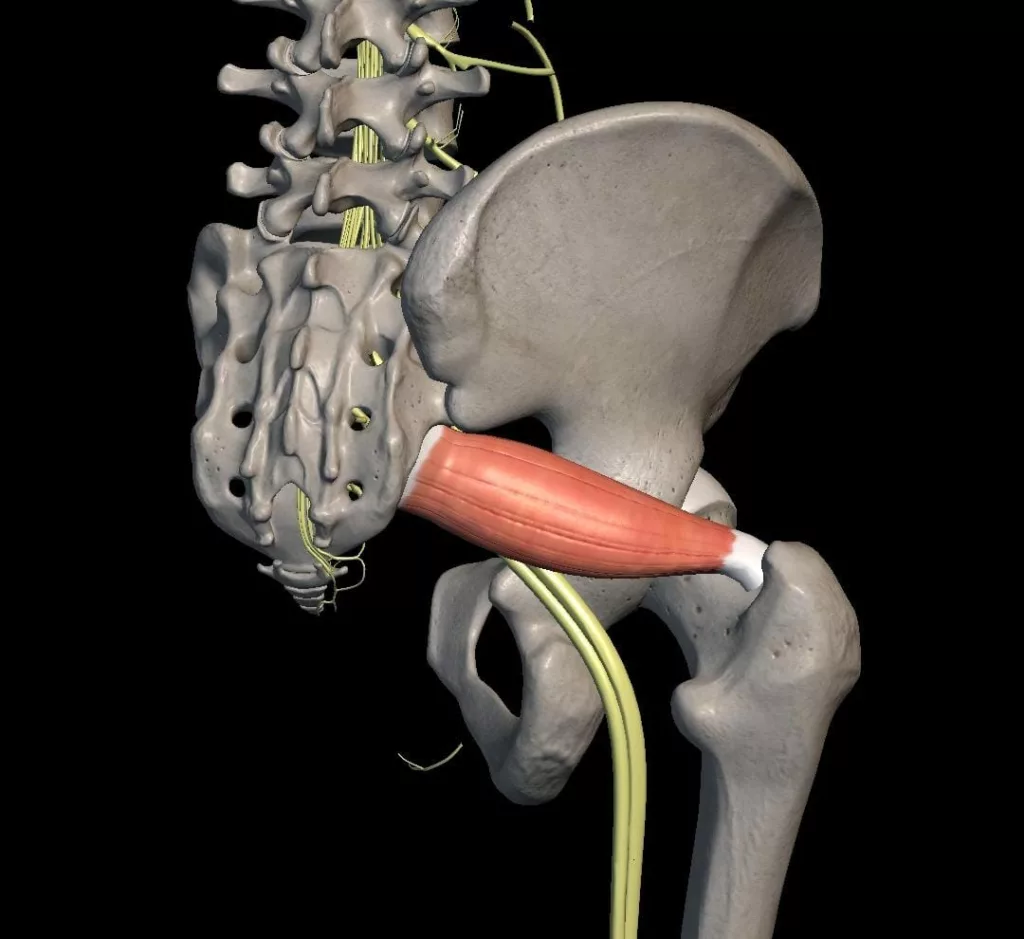 Piriforme infiammato sintomi