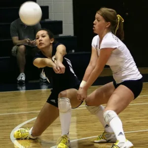 volleyball, female, players-1615685.jpg